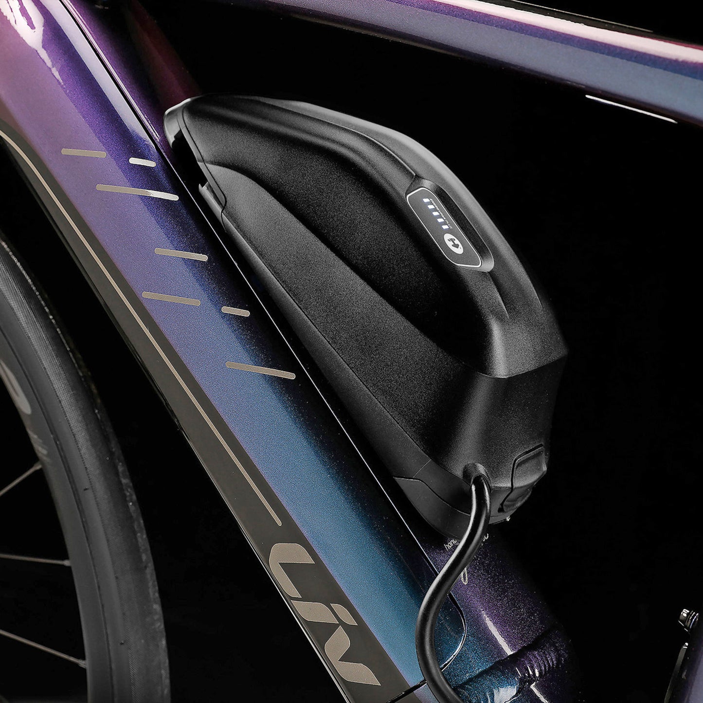 Giant EnergyPak Plus 240WH Range Extender Battery plus Carry Bag