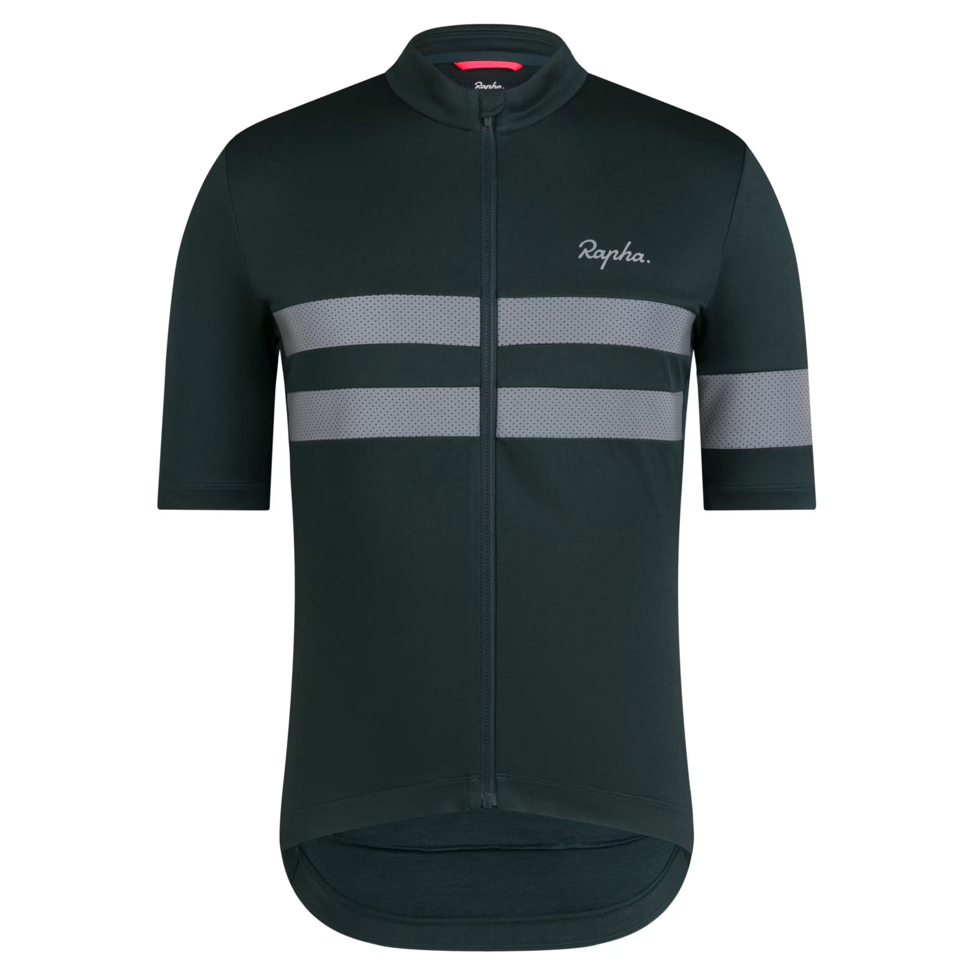 Rapha 2025 Brevet Men's Jersey - Forest Green/Silver Reflective