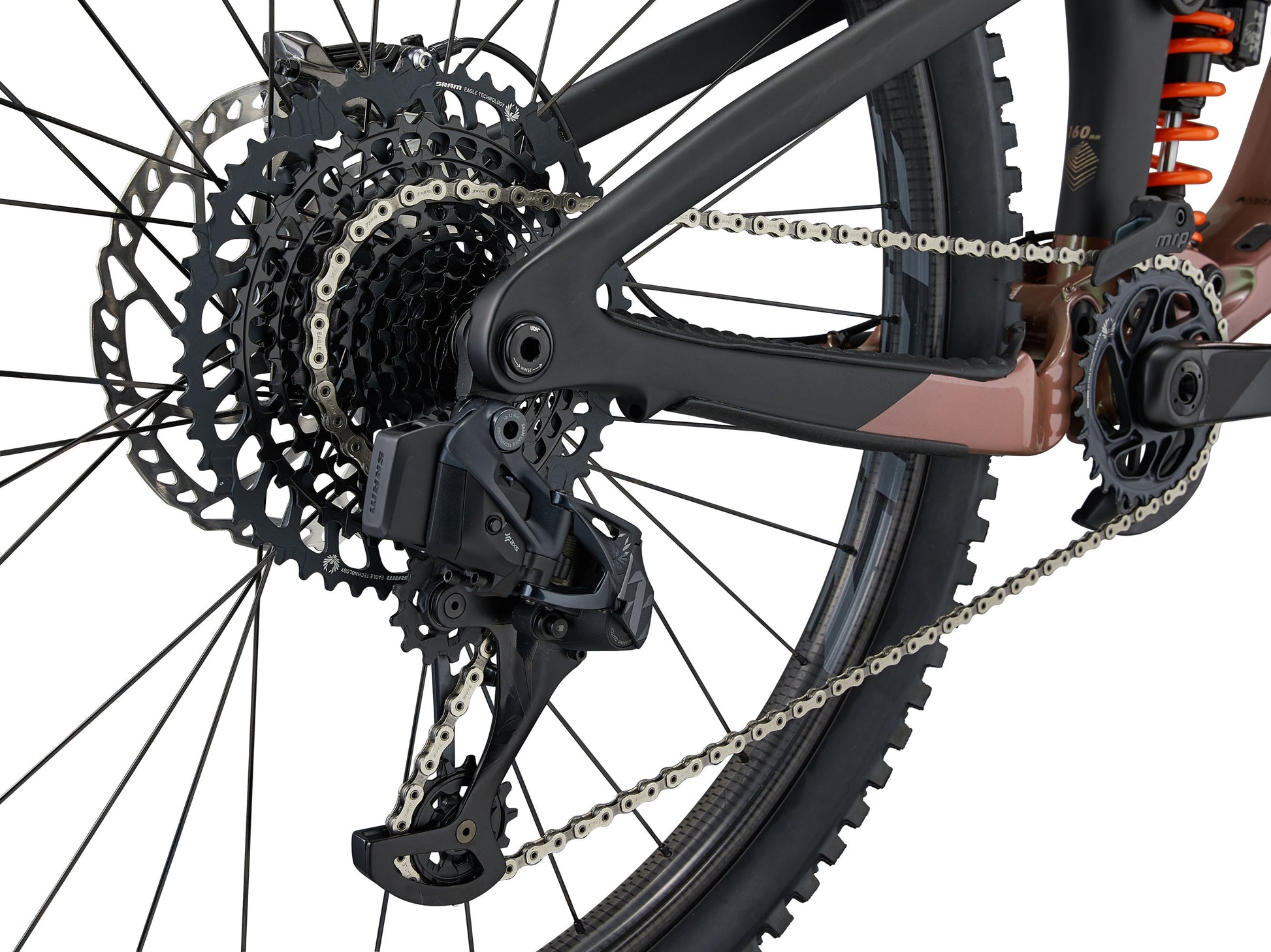 2023 Giant Reign Advanced Pro 0 Men's Mountain Bike, Messier/Carbon image 4