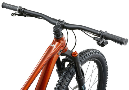 2025 Giant Faith Boy's Mountain Bike, Copper