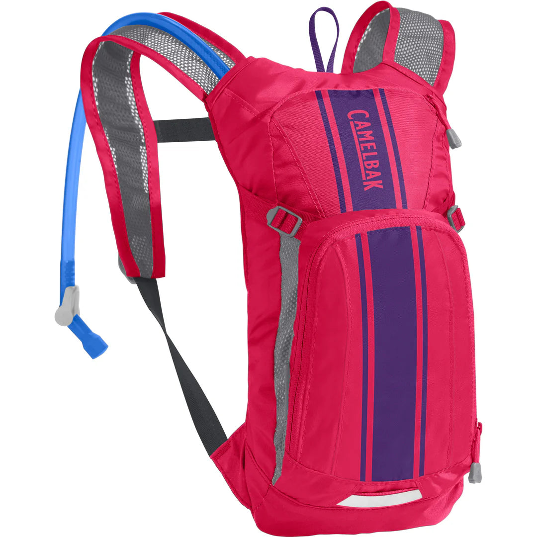 CamelBak Mini M.U.L.E 1.5 Liter Children's Hydration Pack - Hot Pink/Purple Stripe