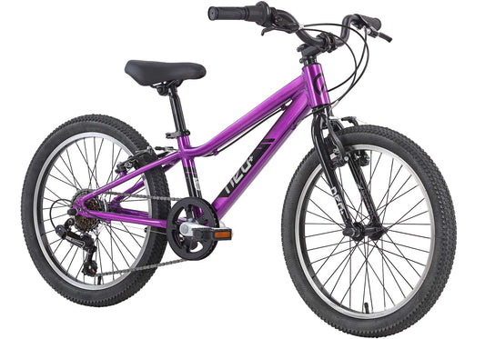 Neo+ 20 6 Speed Children's Bike, Chrome Purple