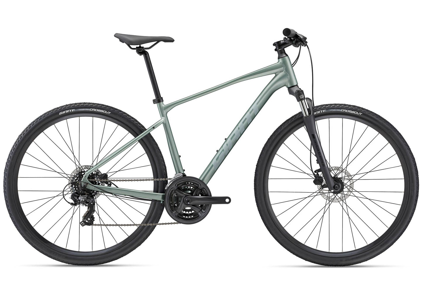 2023 Giant Roam 4 Disc, Men's Fitness/Urban Bike, Misty Forest